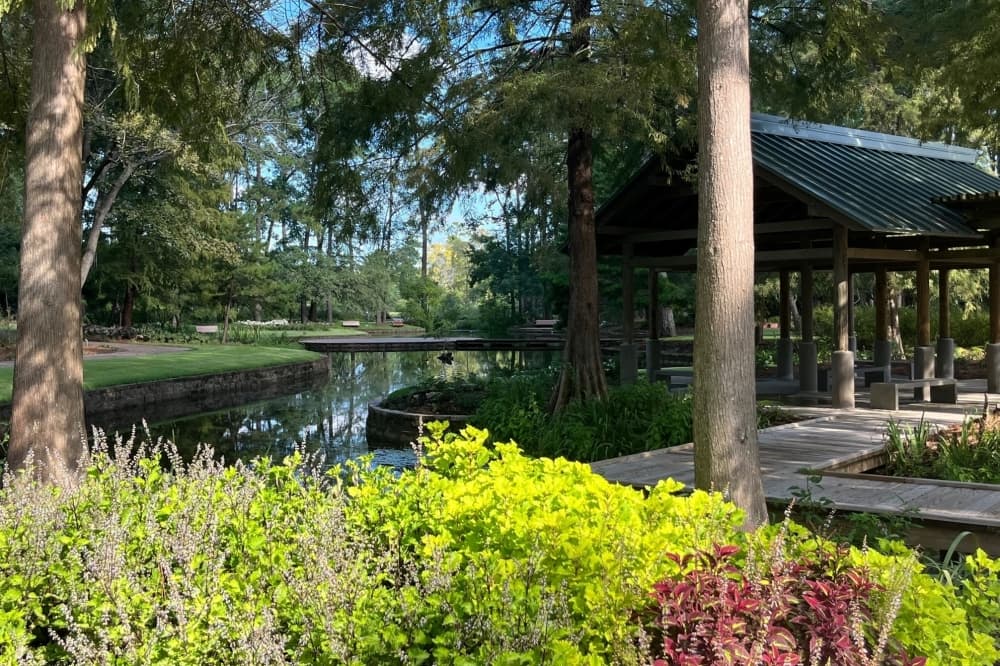 Mercer Arboretum, Humble’s 393-acre escape, marks 50 years as county park