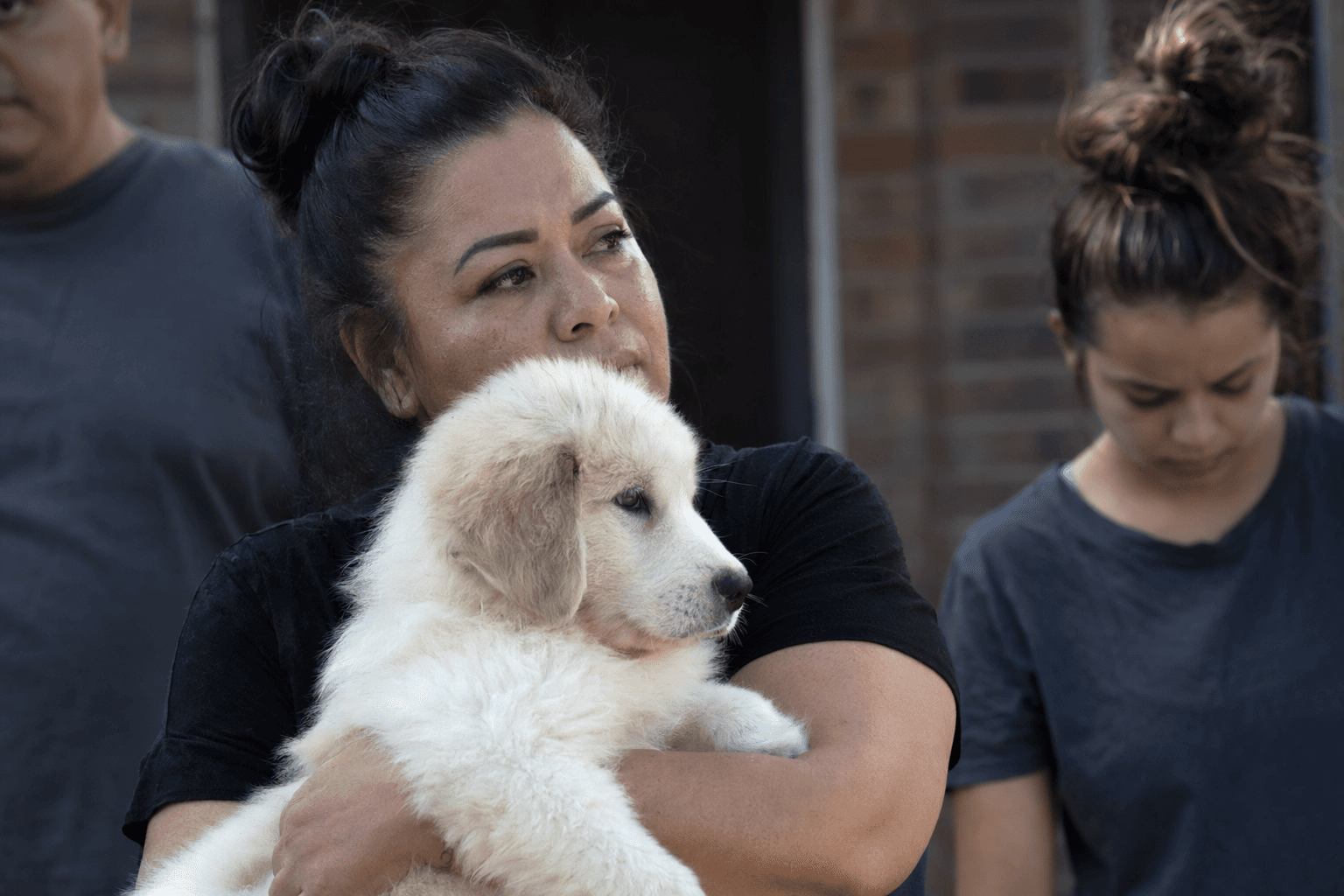 North Harris County family says puppy stolen from backyard, sheriff investigates