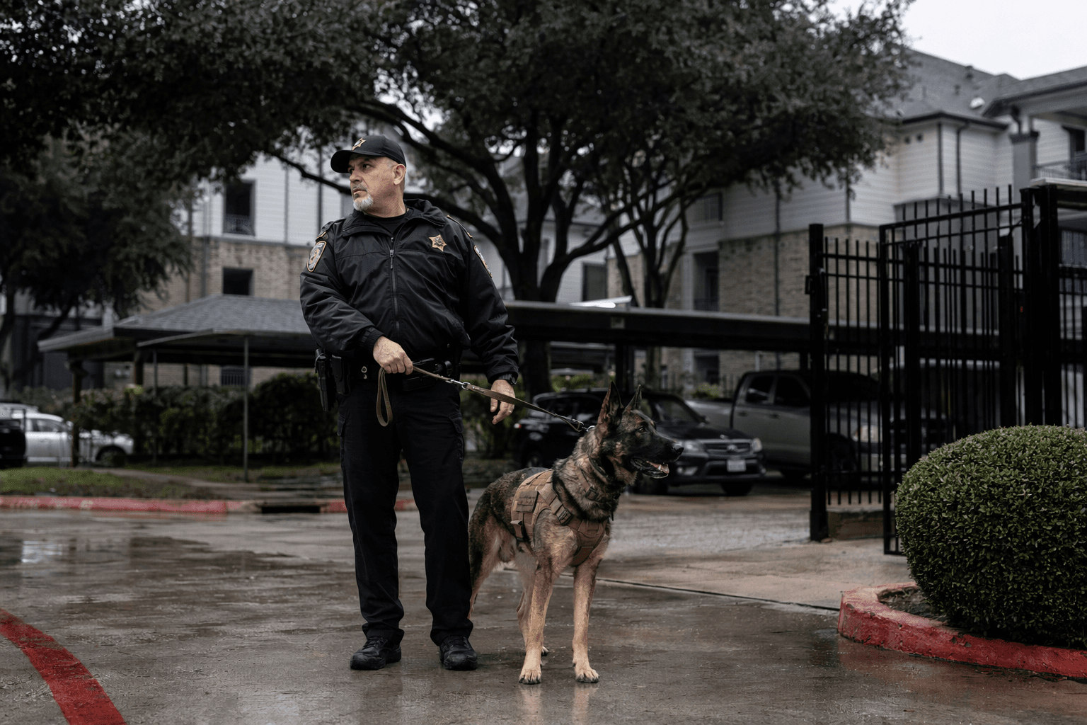 Man fires at service dog during pit bull attack in north Harris County