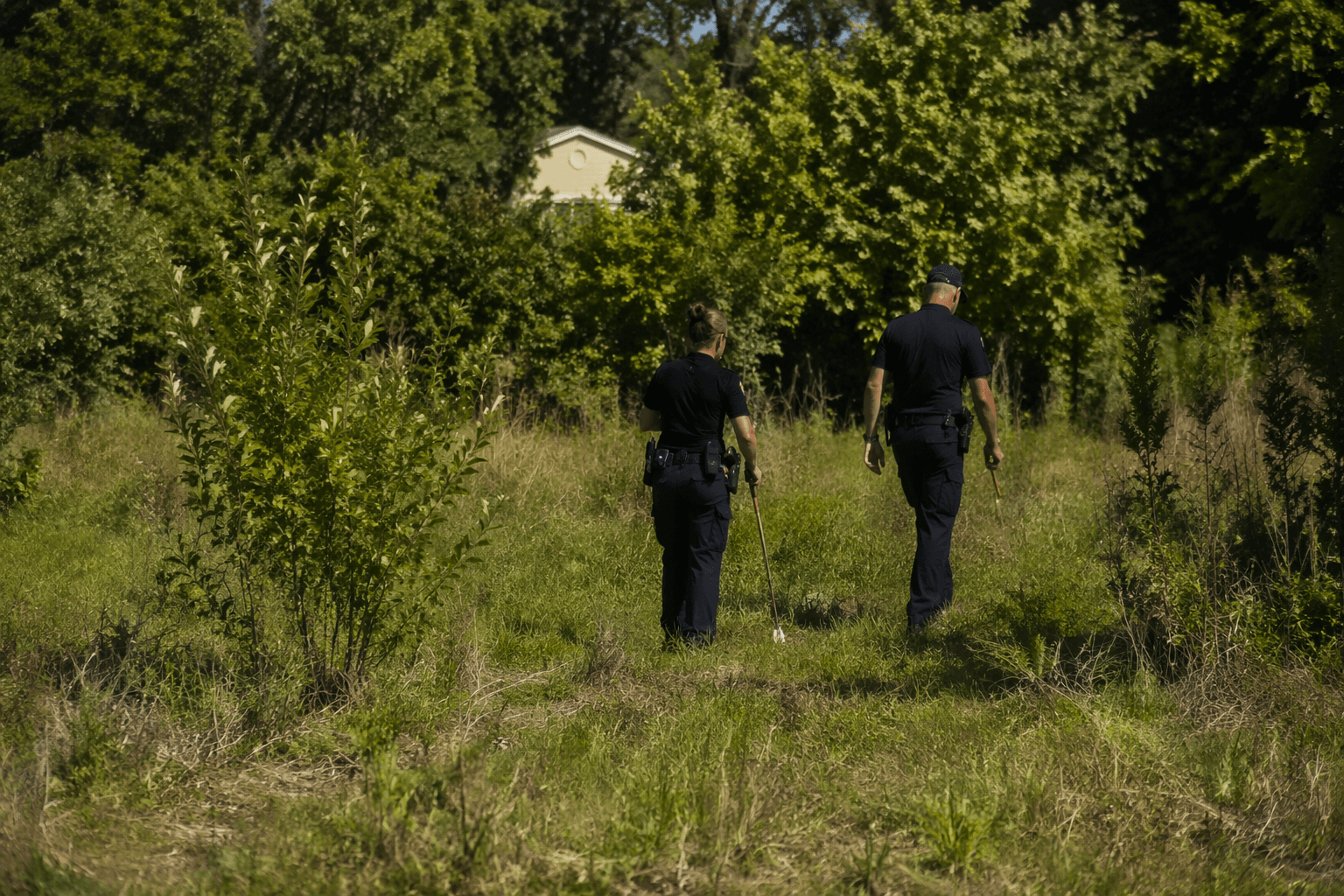 Human remains found in vacant field off Greens Road, HPD investigates
