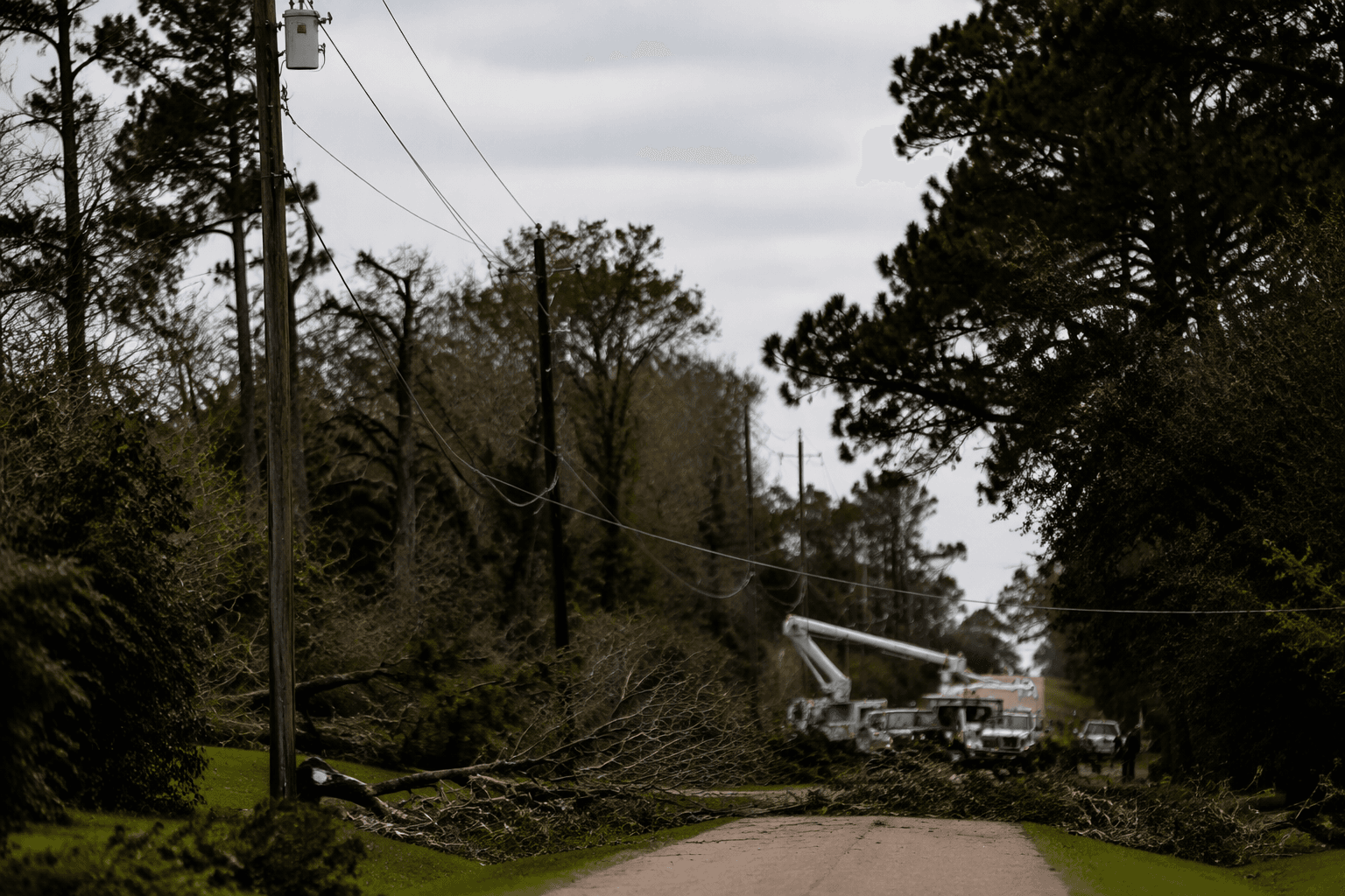 Man electrocuted in Cypress after tree branch hits power line