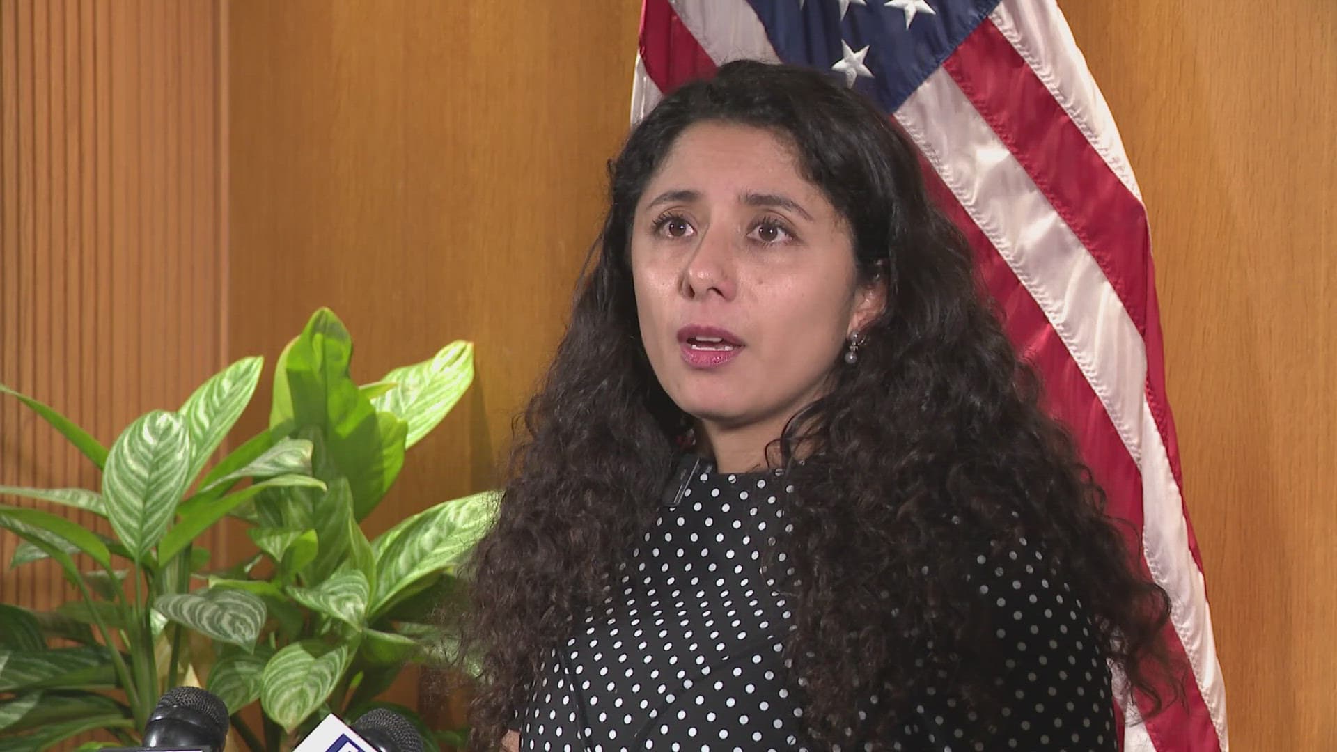 Harris County approves $2.8 billion budget after deficit debate