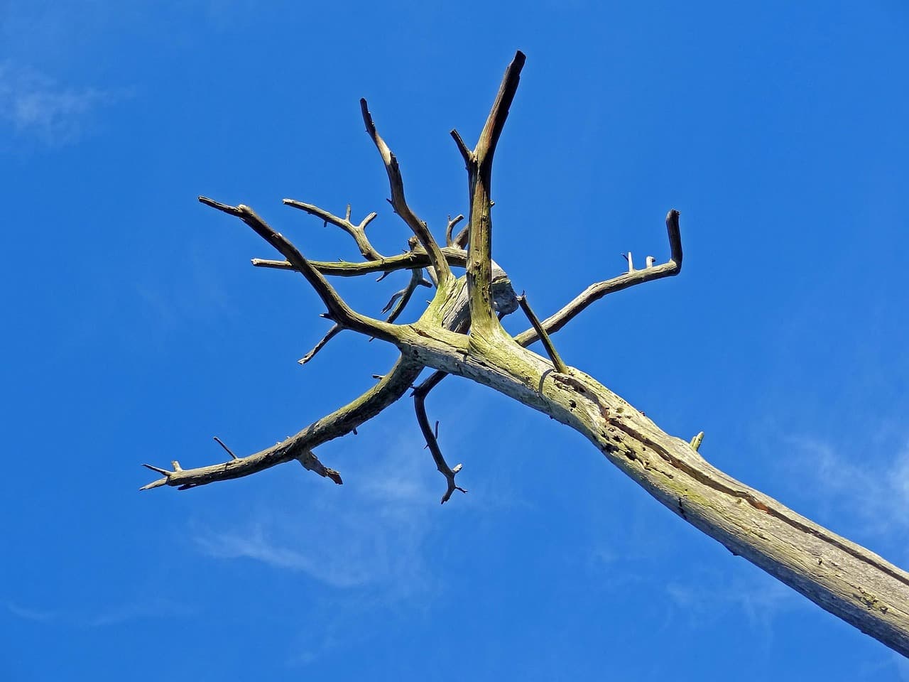 Related stock photo