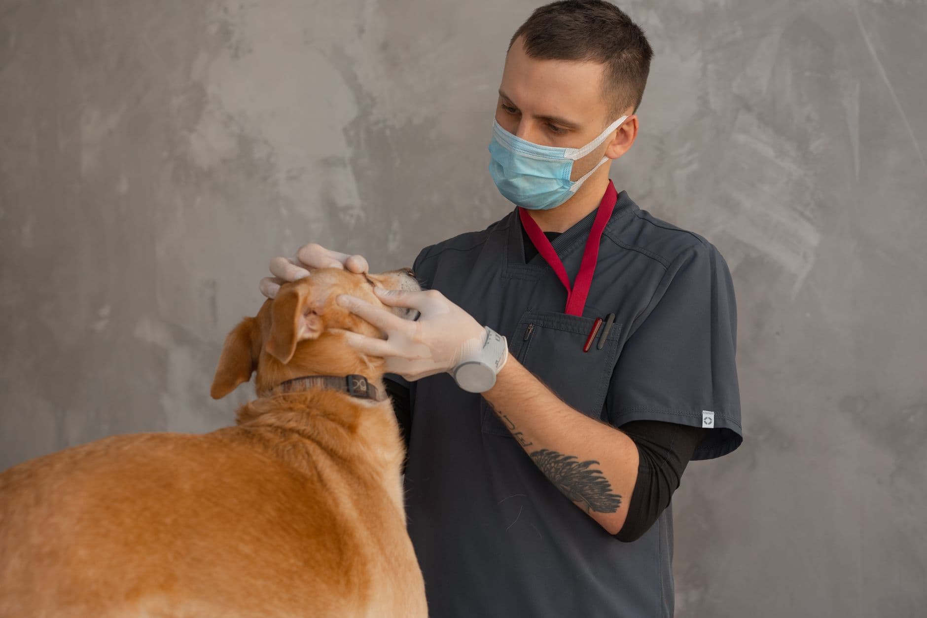 Petfolk opens fifth Greater Houston veterinary clinic in Missouri City