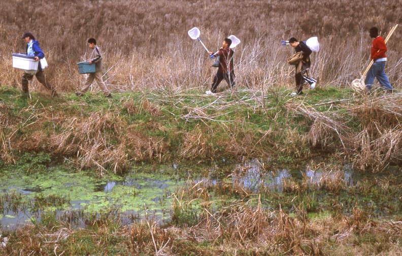 Coastal Prairie Conservancy — Wikimedia Commons
