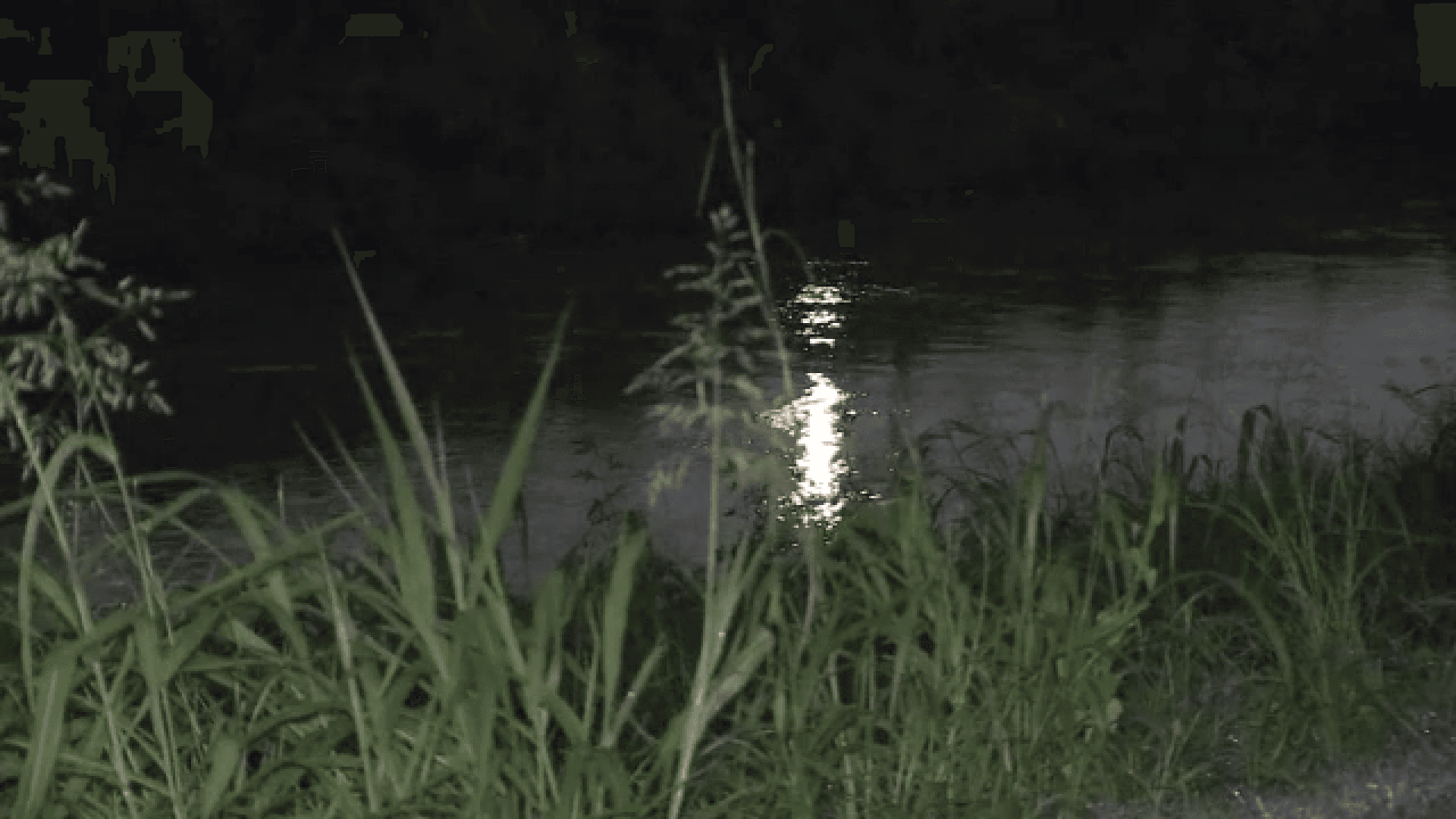 Man faces aggravated sexual assault charges in White Oak Bayou attack