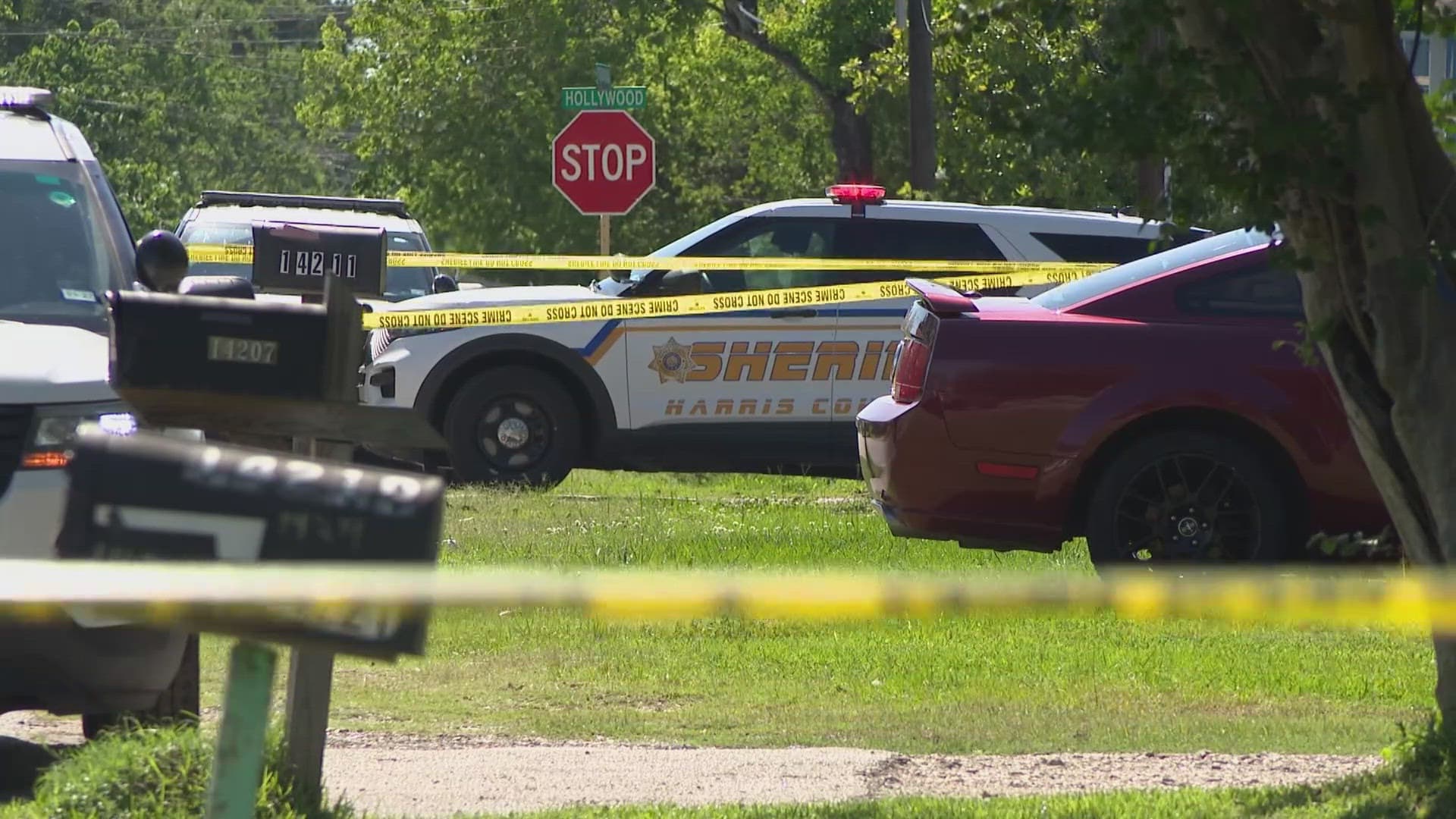 Woman fatally shot in Cloverleaf home, deputies investigate domestic violence murder