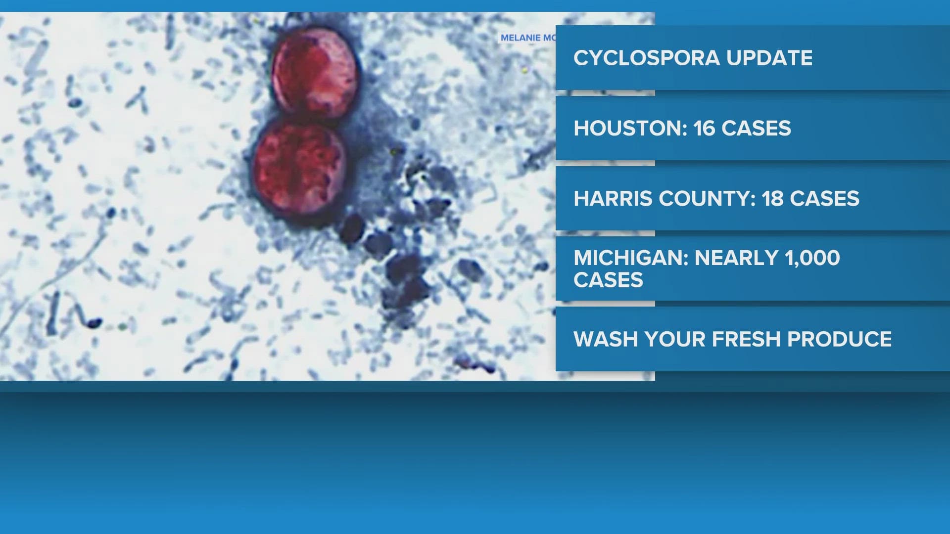 Harris County warns of cyclosporiasis amid rising summer cases