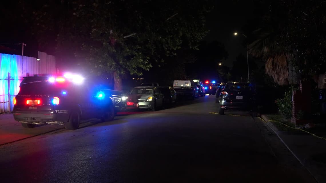 Brother fatally shoots brother in Gulfgate home dispute over guns