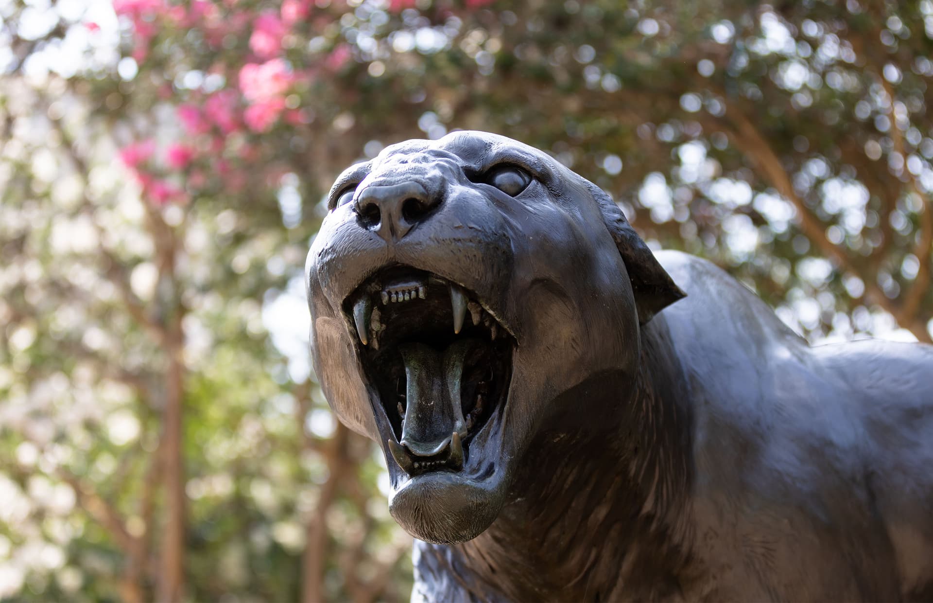 University of Houston Graduate Programs Climb in Latest U.S. News Rankings